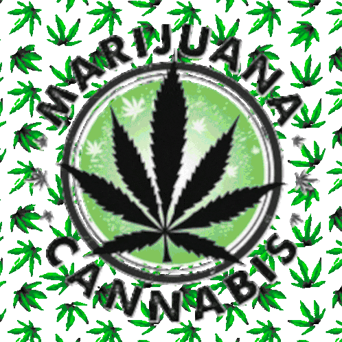 Cannabisceutical animated logo